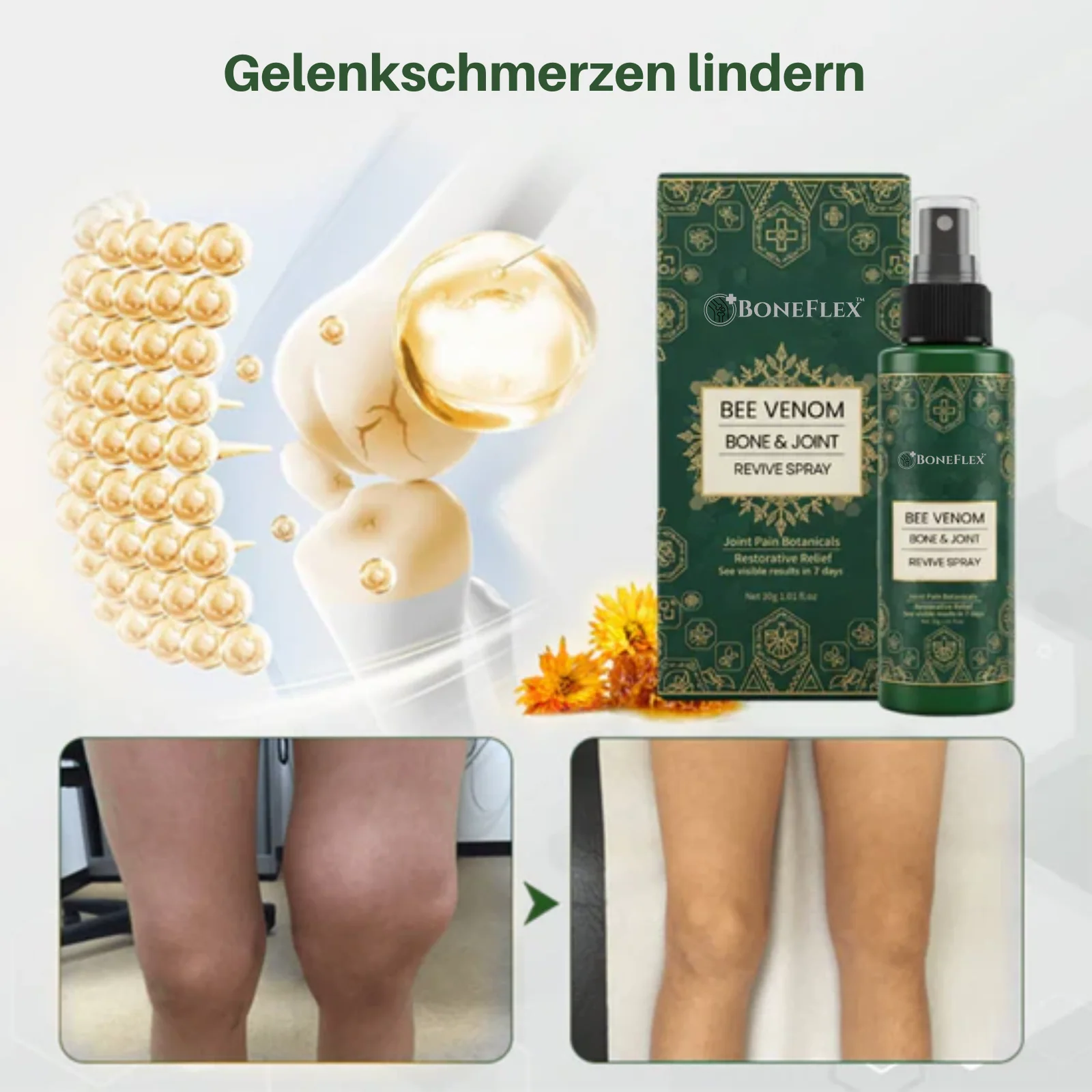 Vorschaubild 14