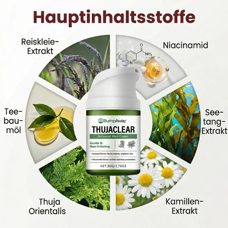 Vorschaubild 9
