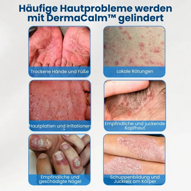 Vorschaubild 6