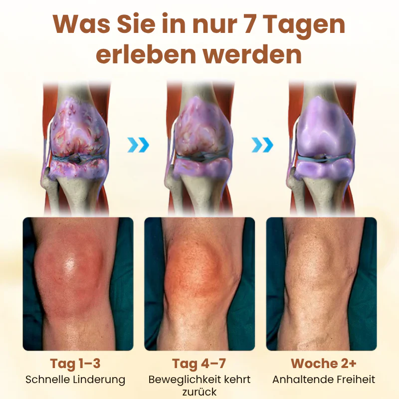 Vorschaubild 7