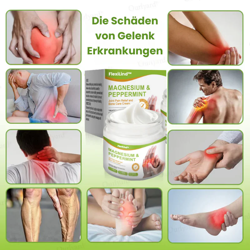 Vorschaubild 5