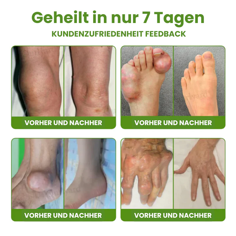 Vorschaubild 8