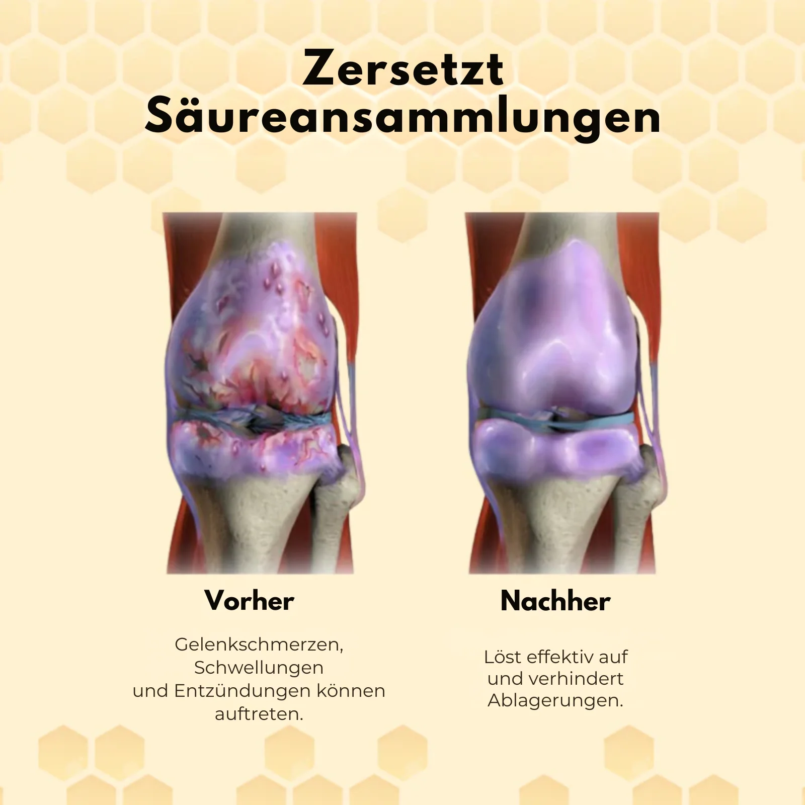 Vorschaubild 8
