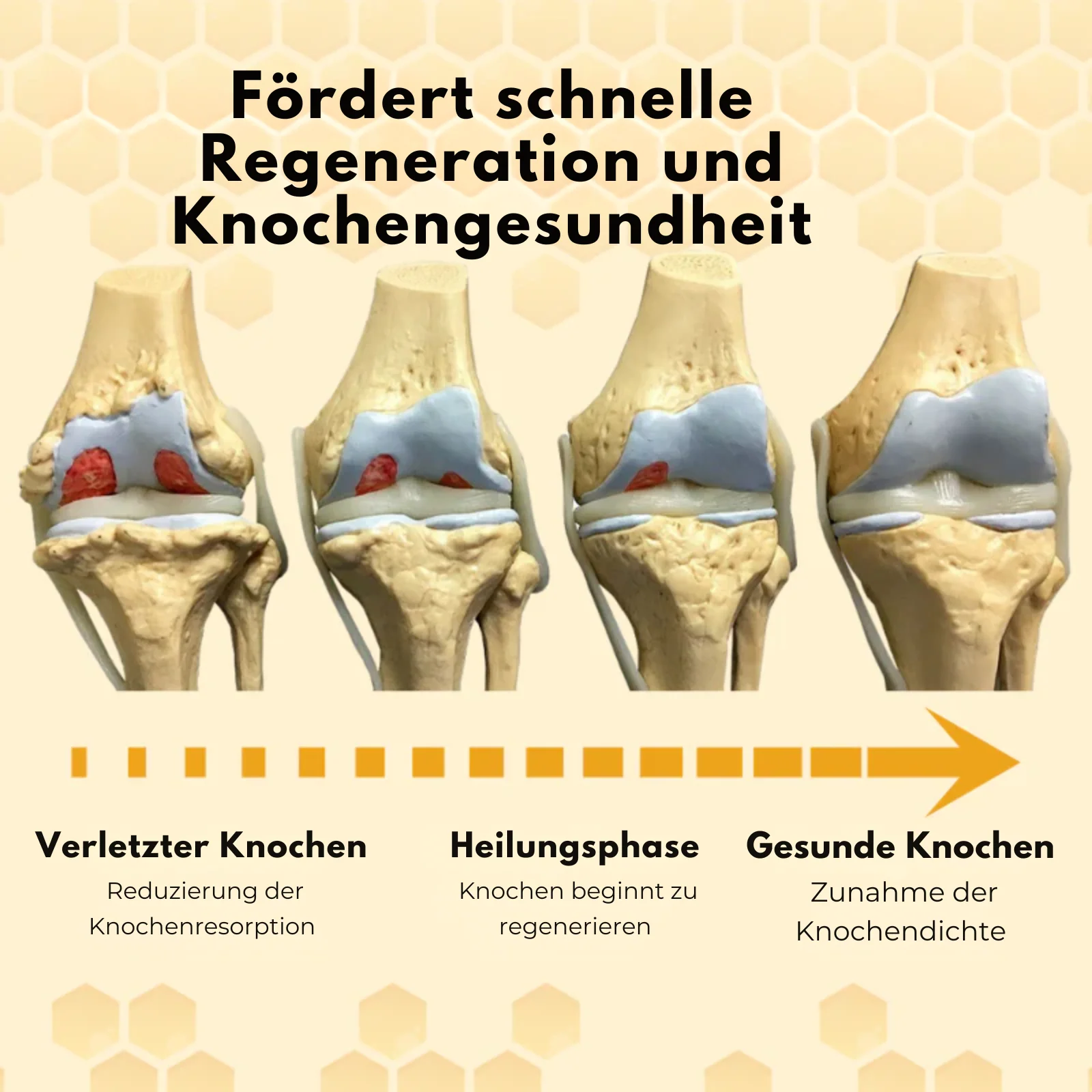 Vorschaubild 9