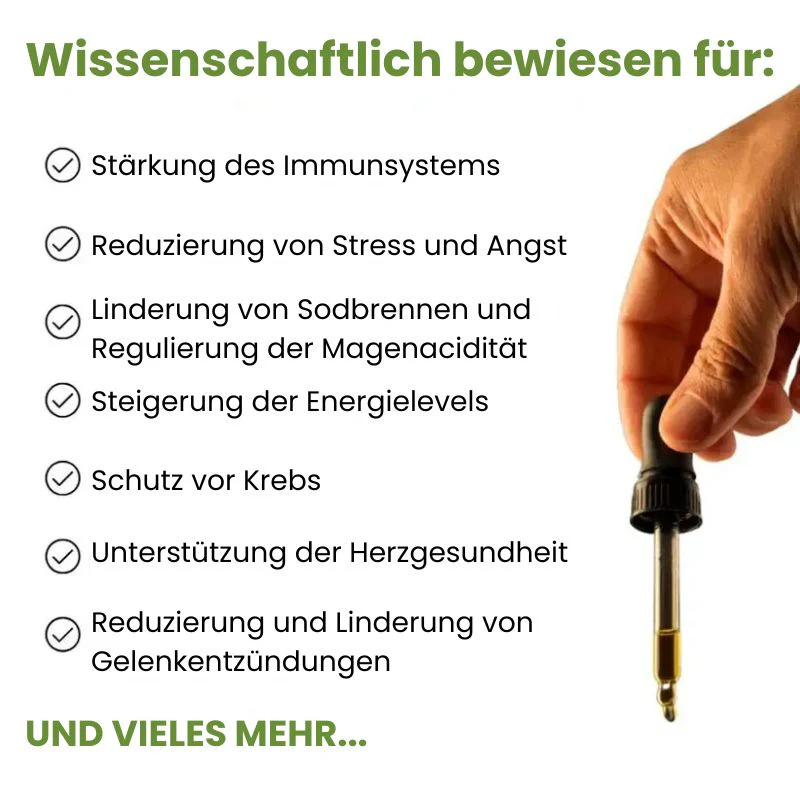 Vorschaubild 7