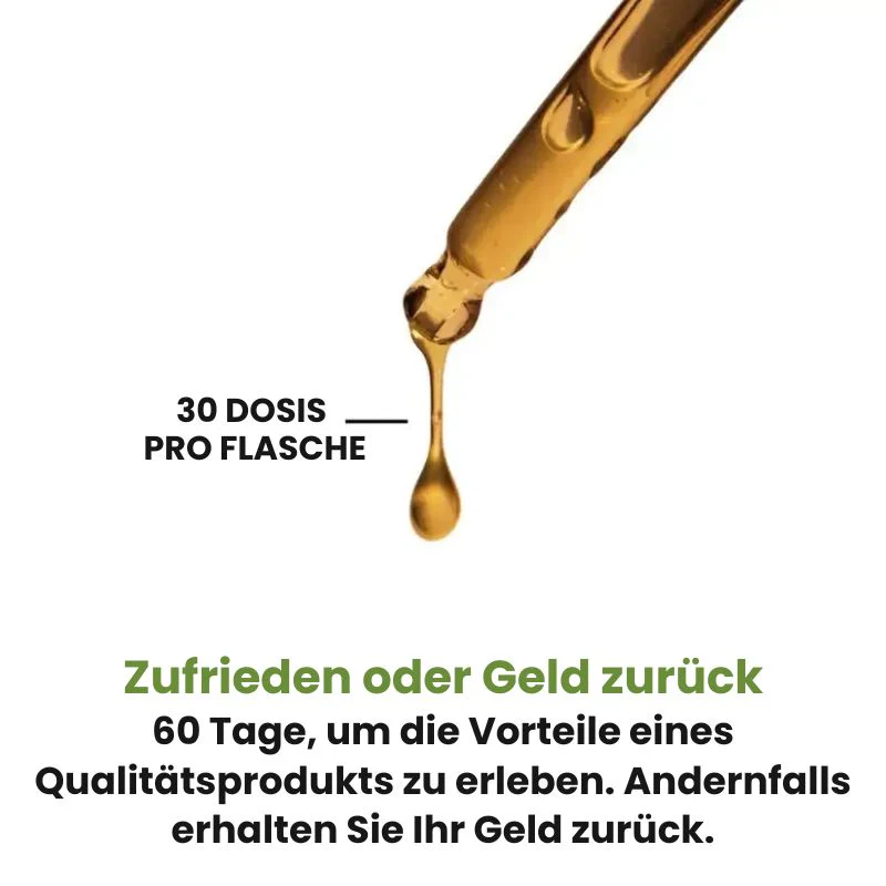 Vorschaubild 8