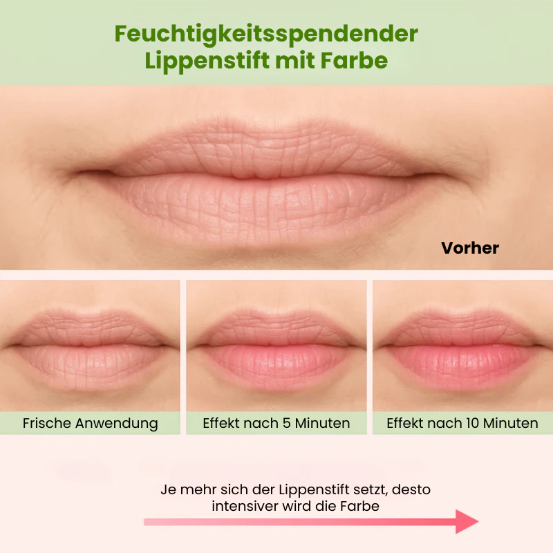 Vorschaubild 6