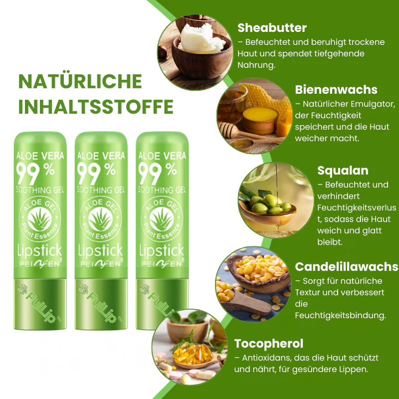 Vorschaubild 9