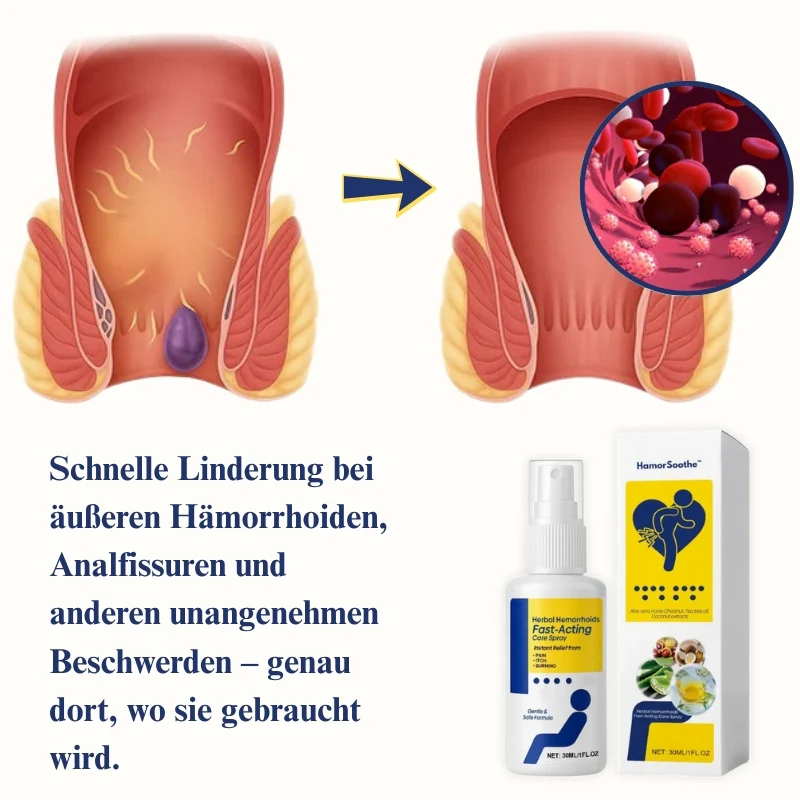 Vorschaubild 11