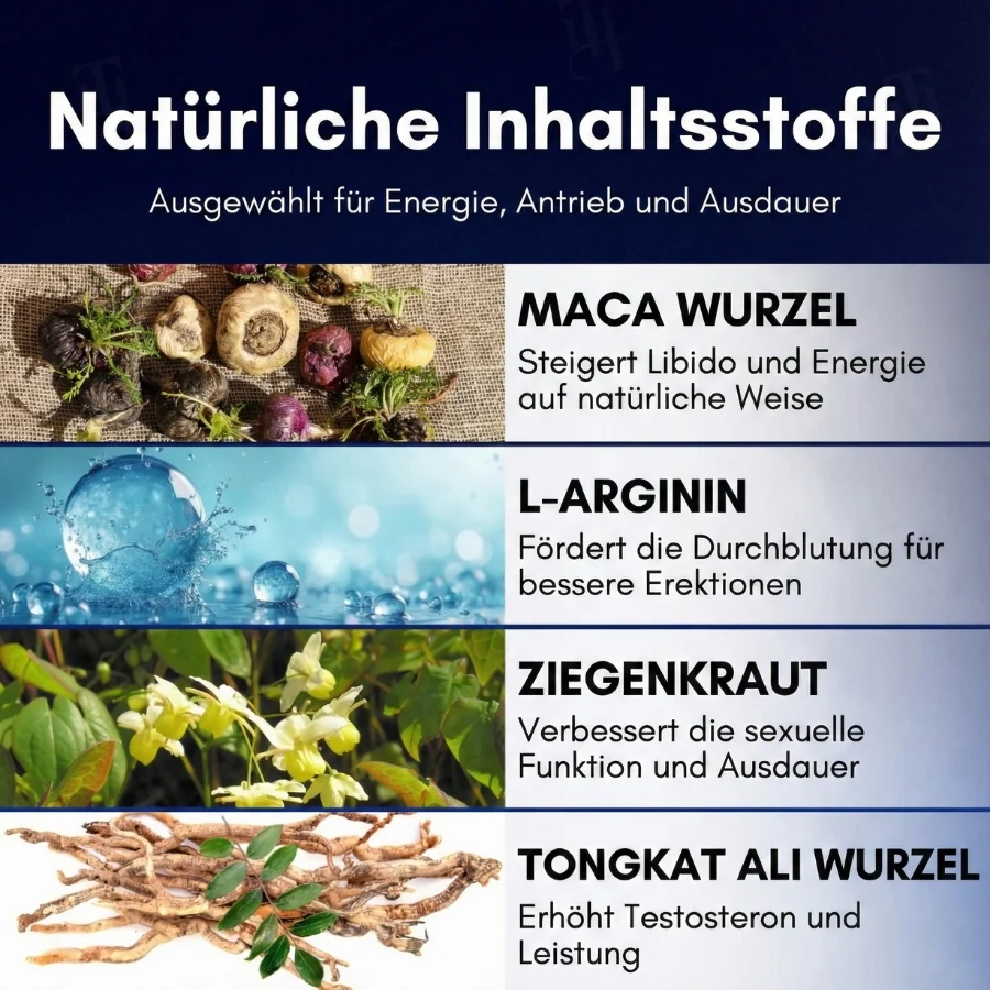 Vorschaubild 8