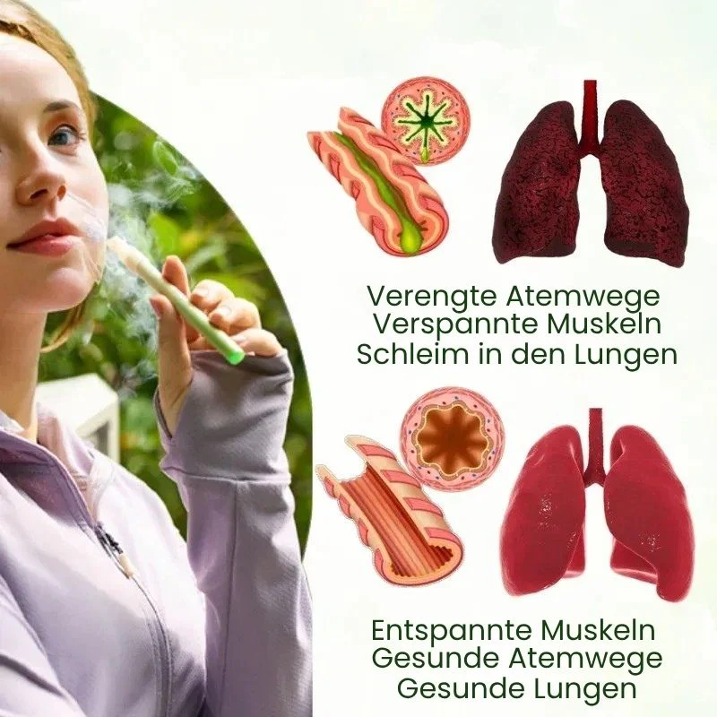 Vorschaubild 7