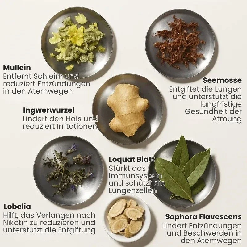 Vorschaubild 9
