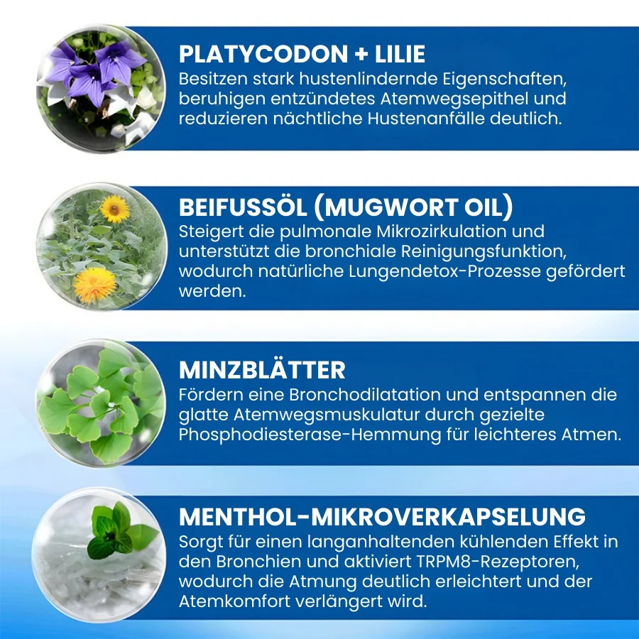 Vorschaubild 9