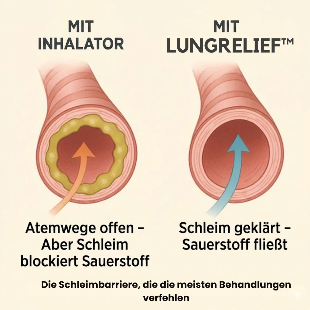 Vorschaubild 10