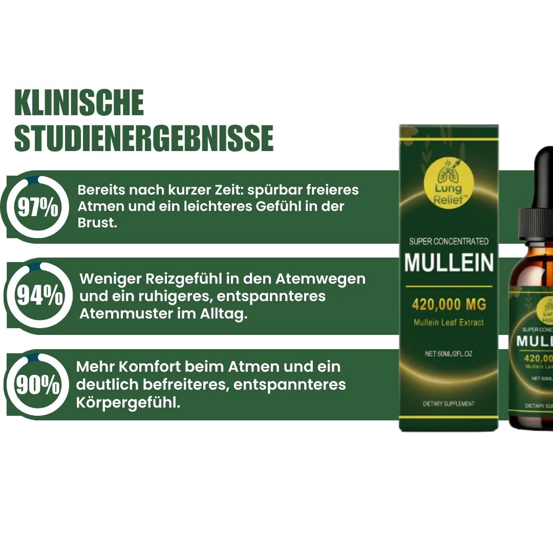 Vorschaubild 8