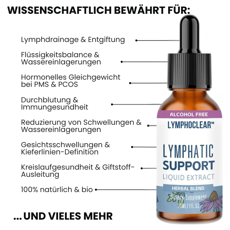Vorschaubild 11