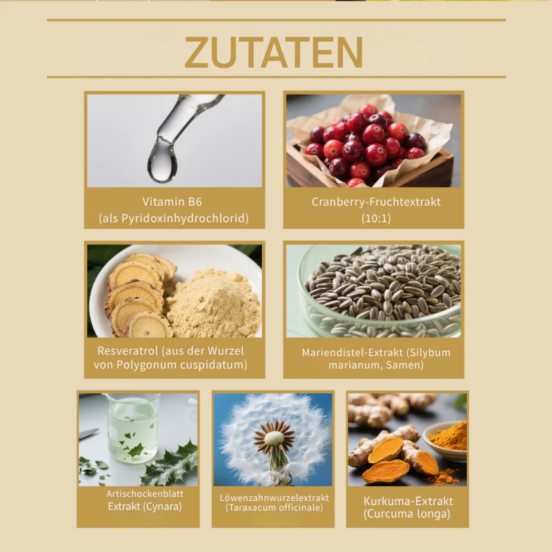 Vorschaubild 13