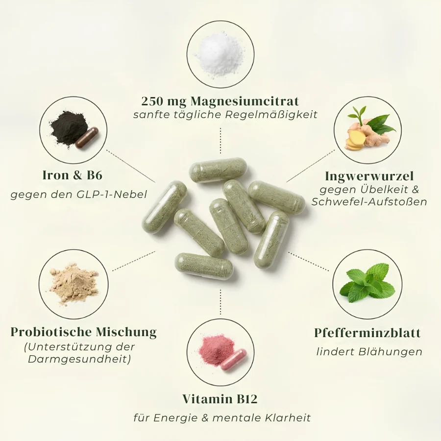 Vorschaubild 6