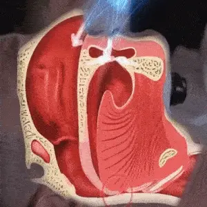 Vorschaubild 16