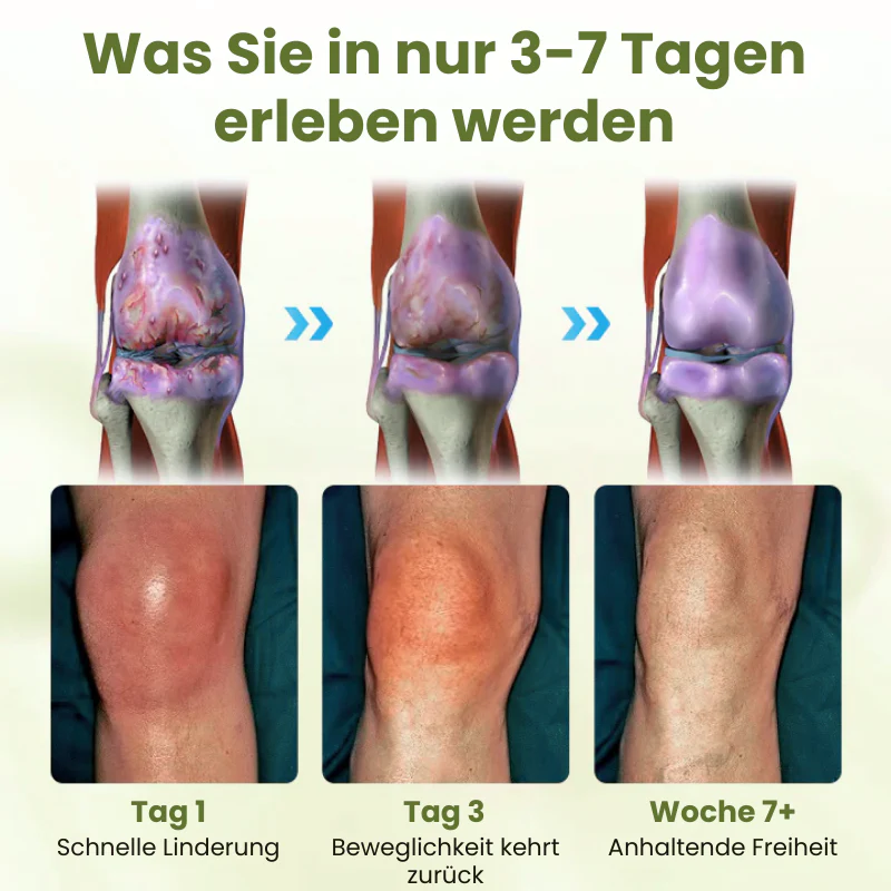 Vorschaubild 6