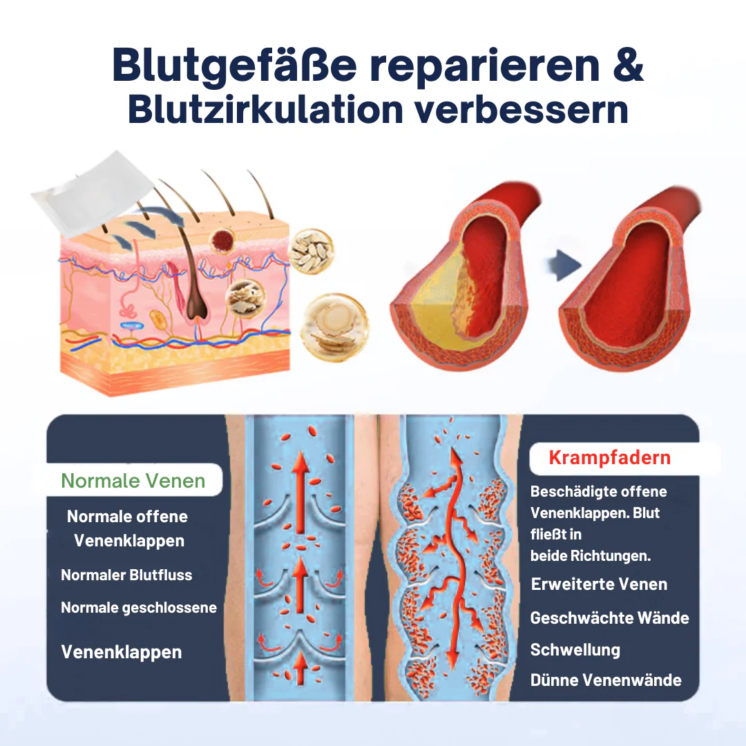 Vorschaubild 11