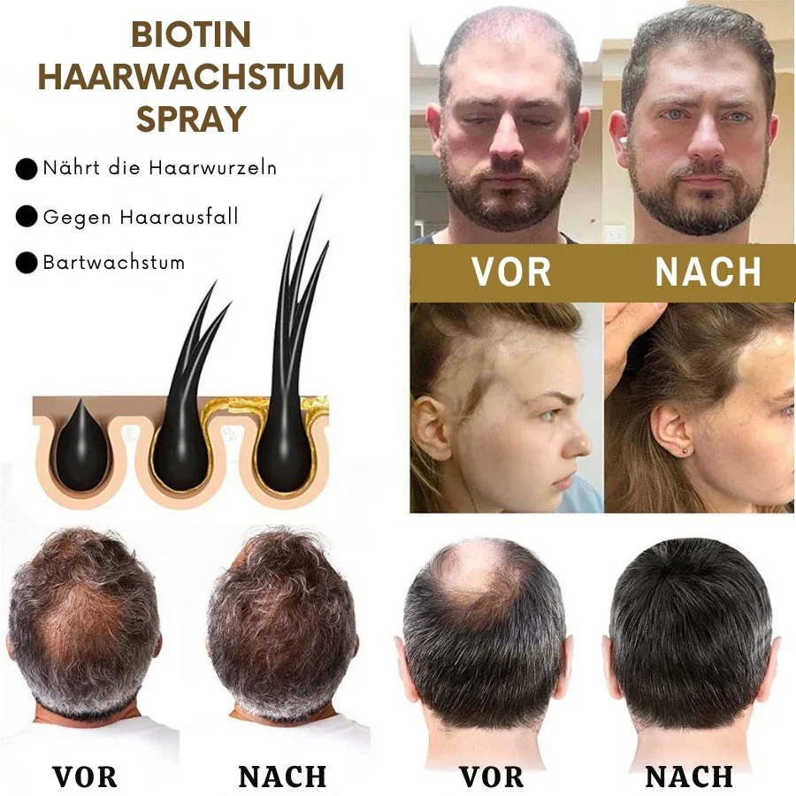Vorschaubild 5